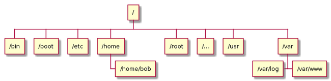 Diagram of a hierarchical database