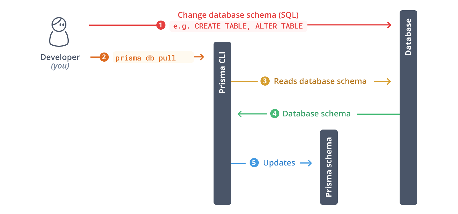 Introspect your database with Prisma